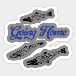 Sockeye Salmon - Going Home Sticker